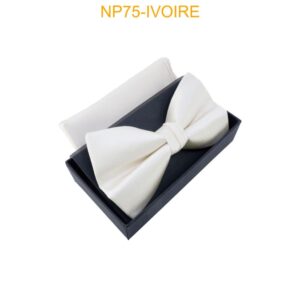 Noeud Papillon